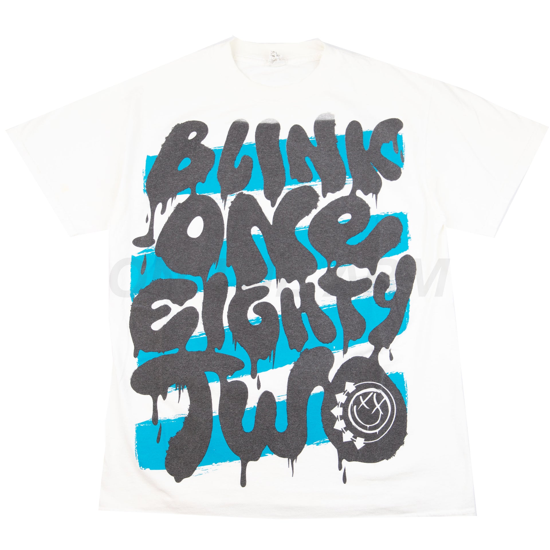 Vintage White Blink 182 Tee (2000's)