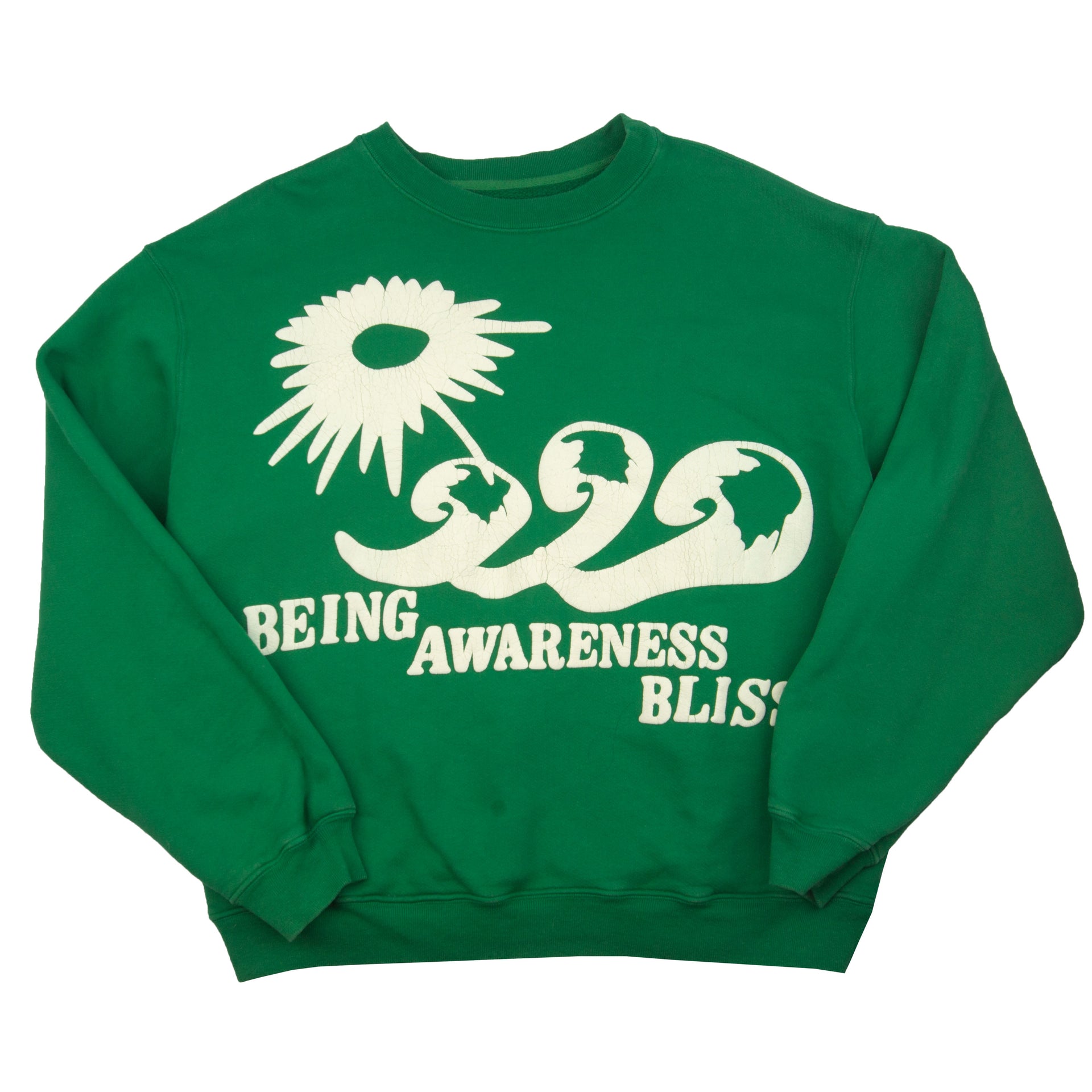 Cactus Plant Flea Market Green Being-Awareness-Bliss Crew PRE-OWNED