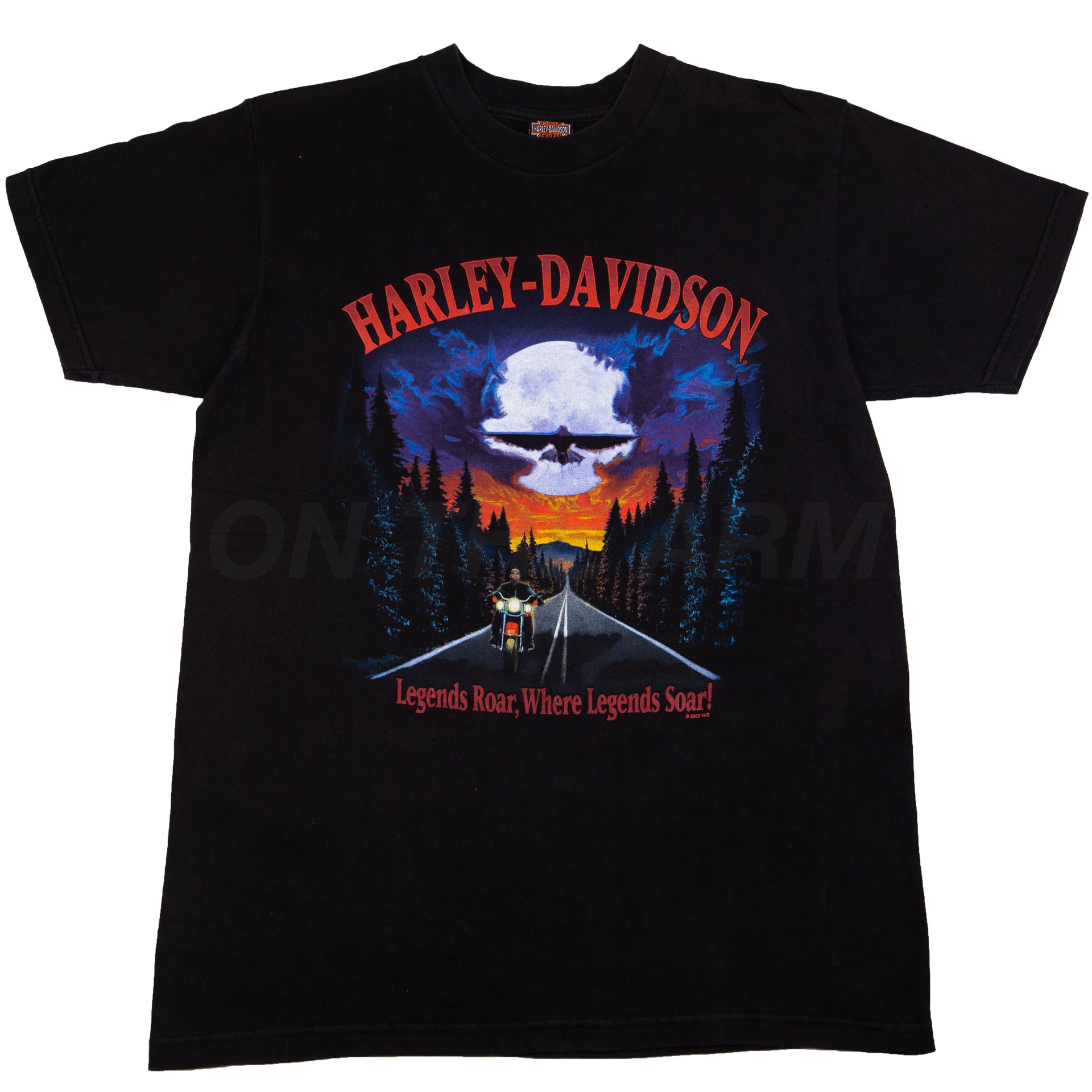 Vintage Black Harley Davidson Legends Soar Tee (2002)