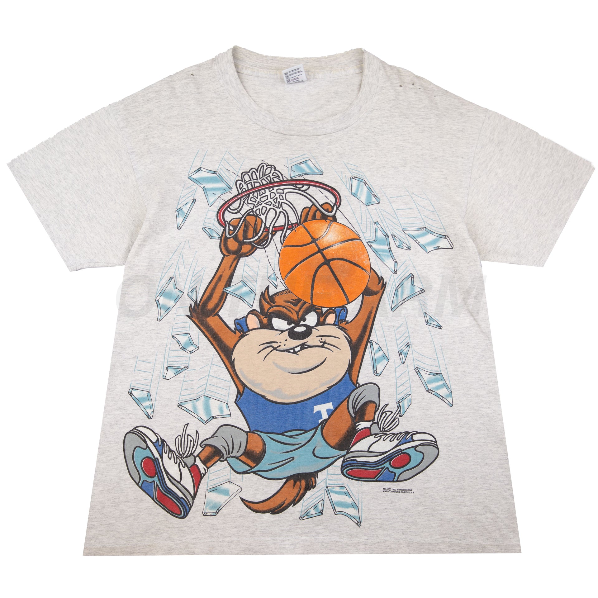 Vintage Grey Taz Shattered Backboard Tee (1993)
