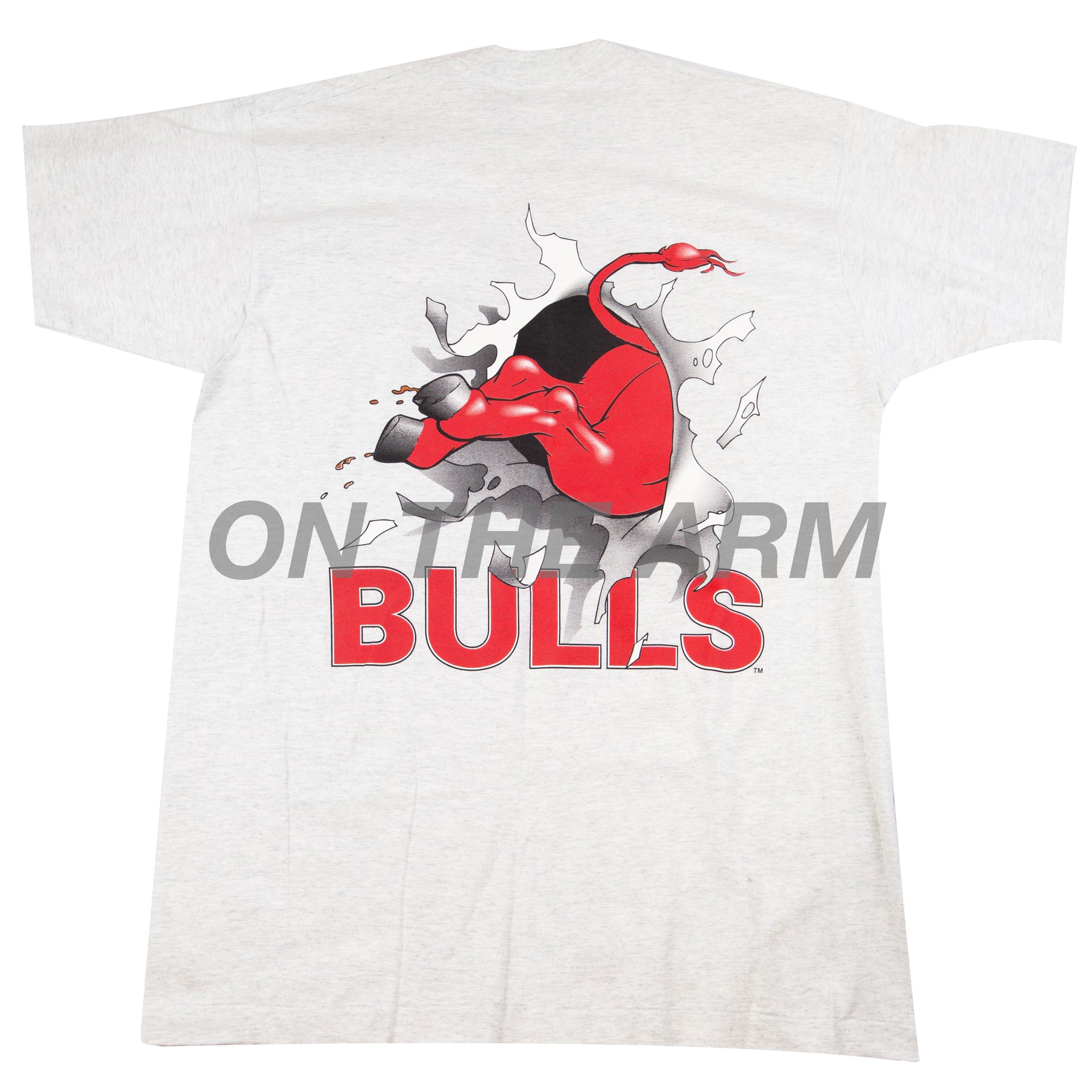 Vintage Grey Chicago Bulls Nutmeg Tee (1990's)
