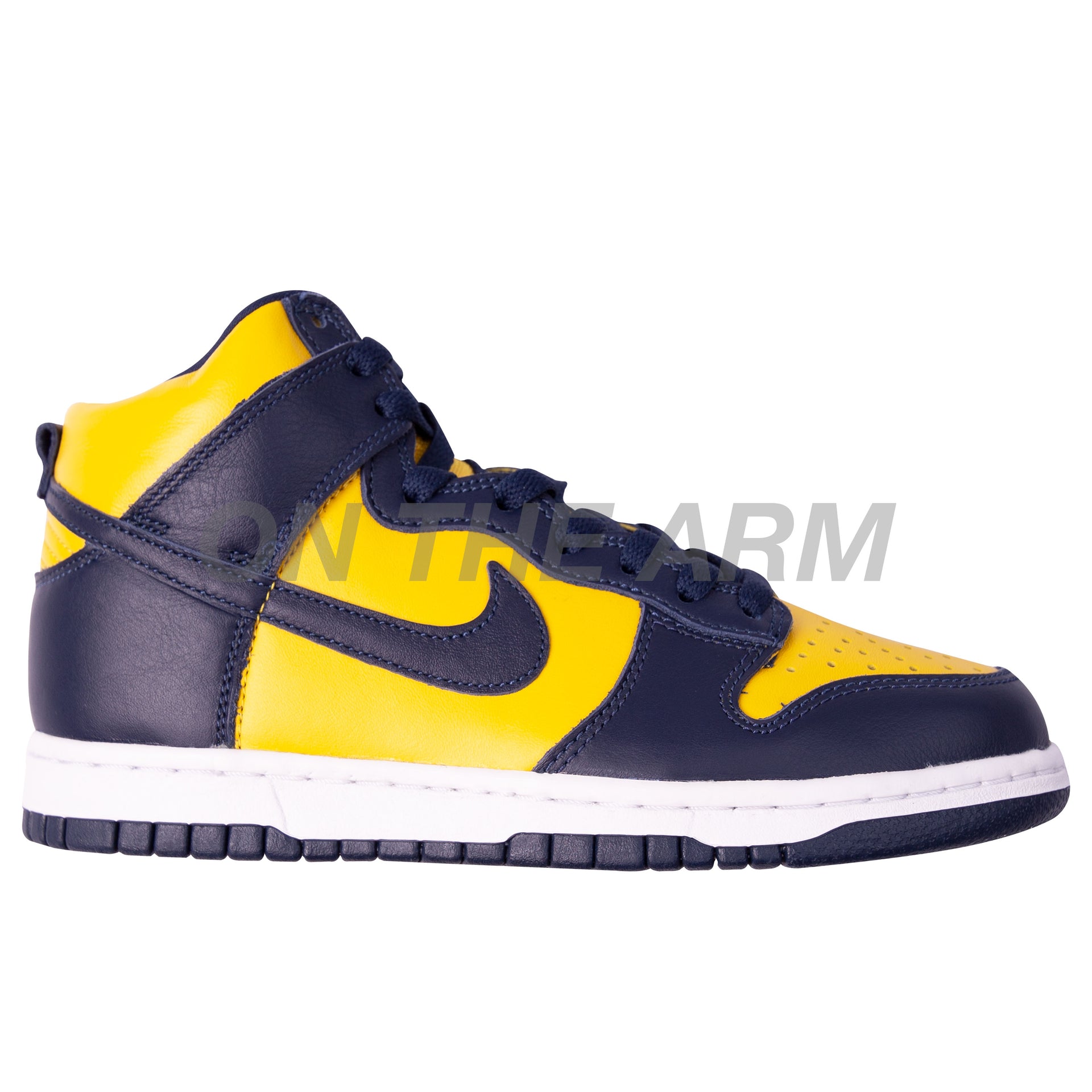 Nike Michigan Dunk Hi SP