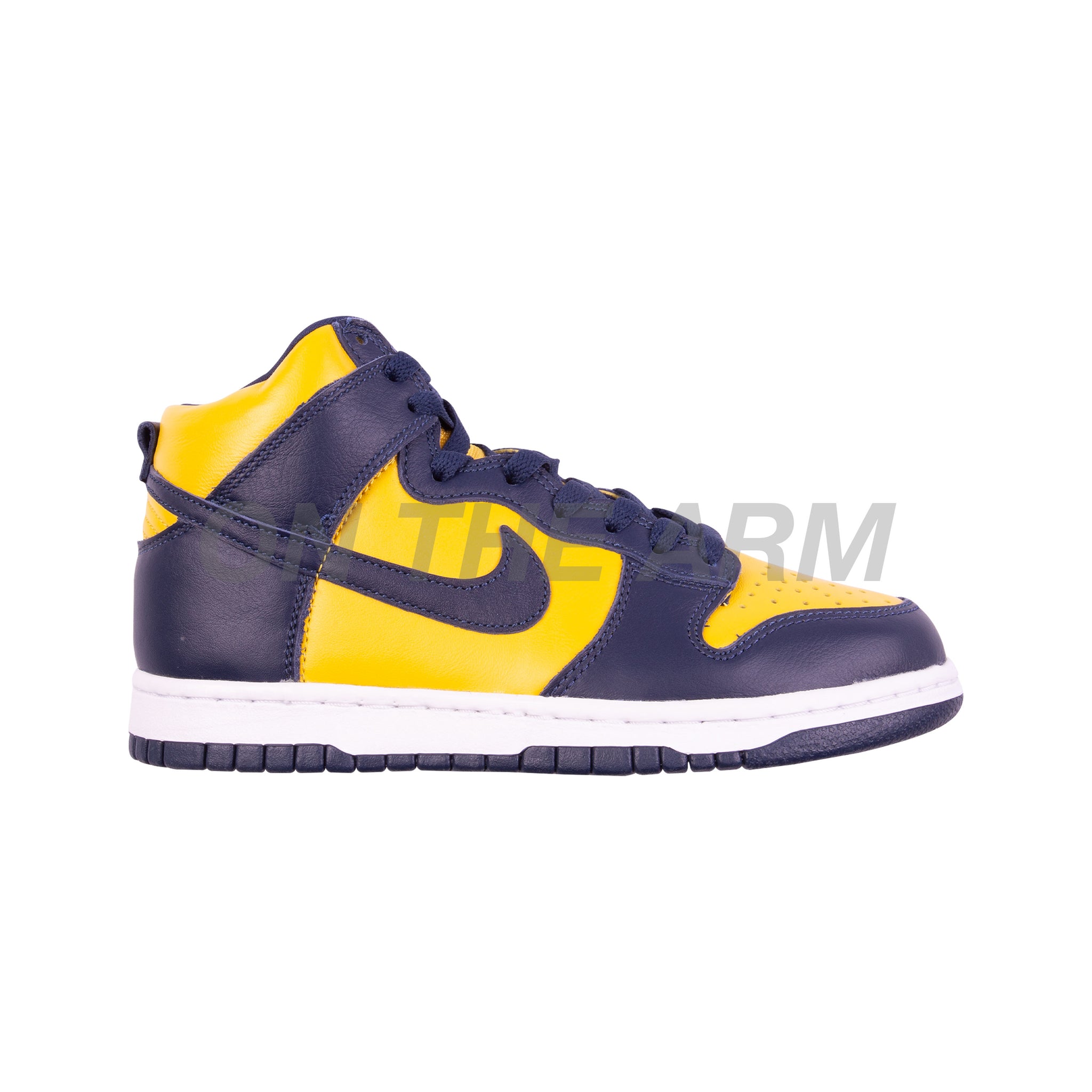 Nike Michigan Dunk Hi SP
