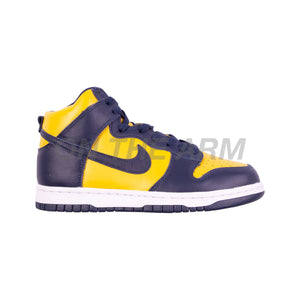 Nike Michigan Dunk Hi SP