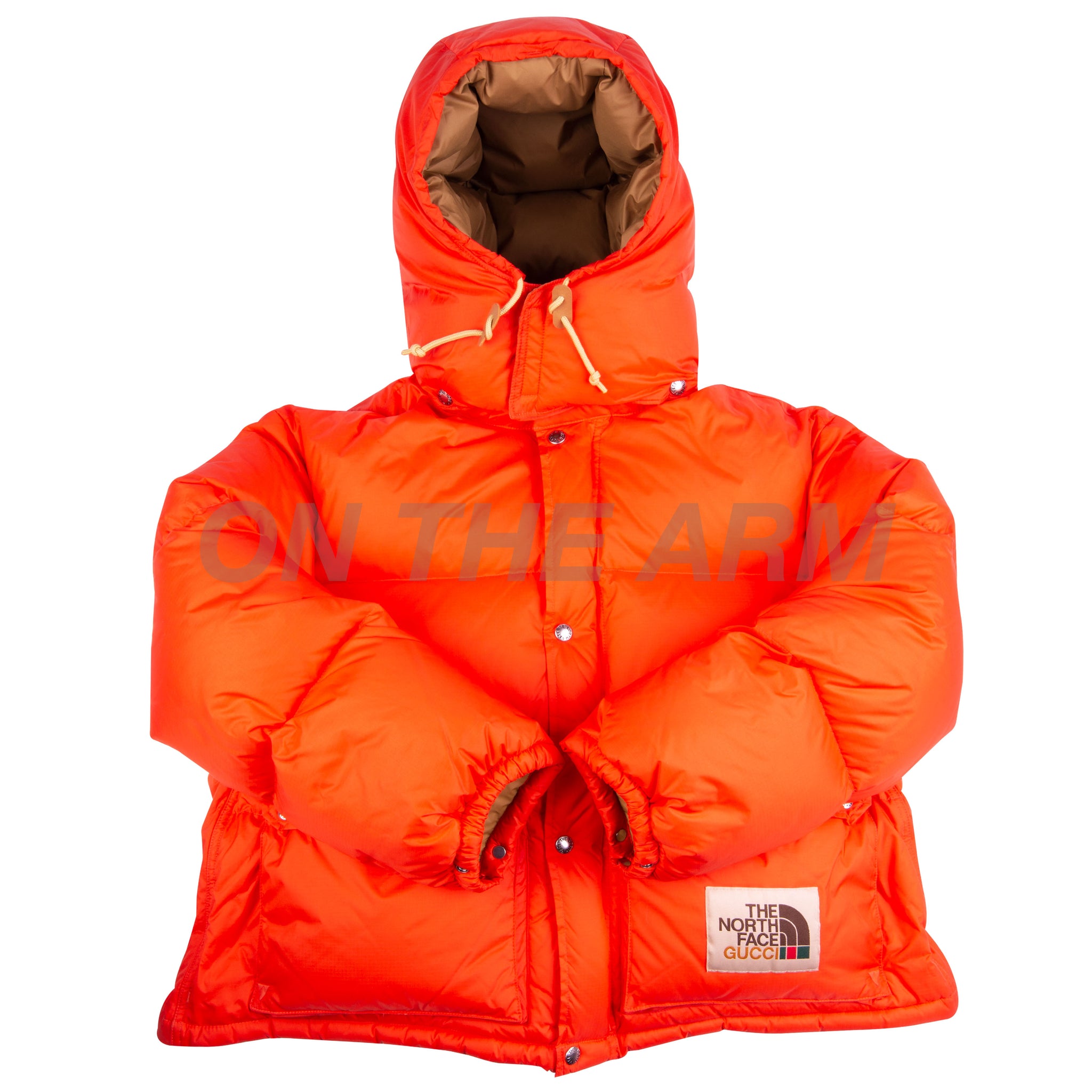 The North Face Orange Gucci Puffer Jacket