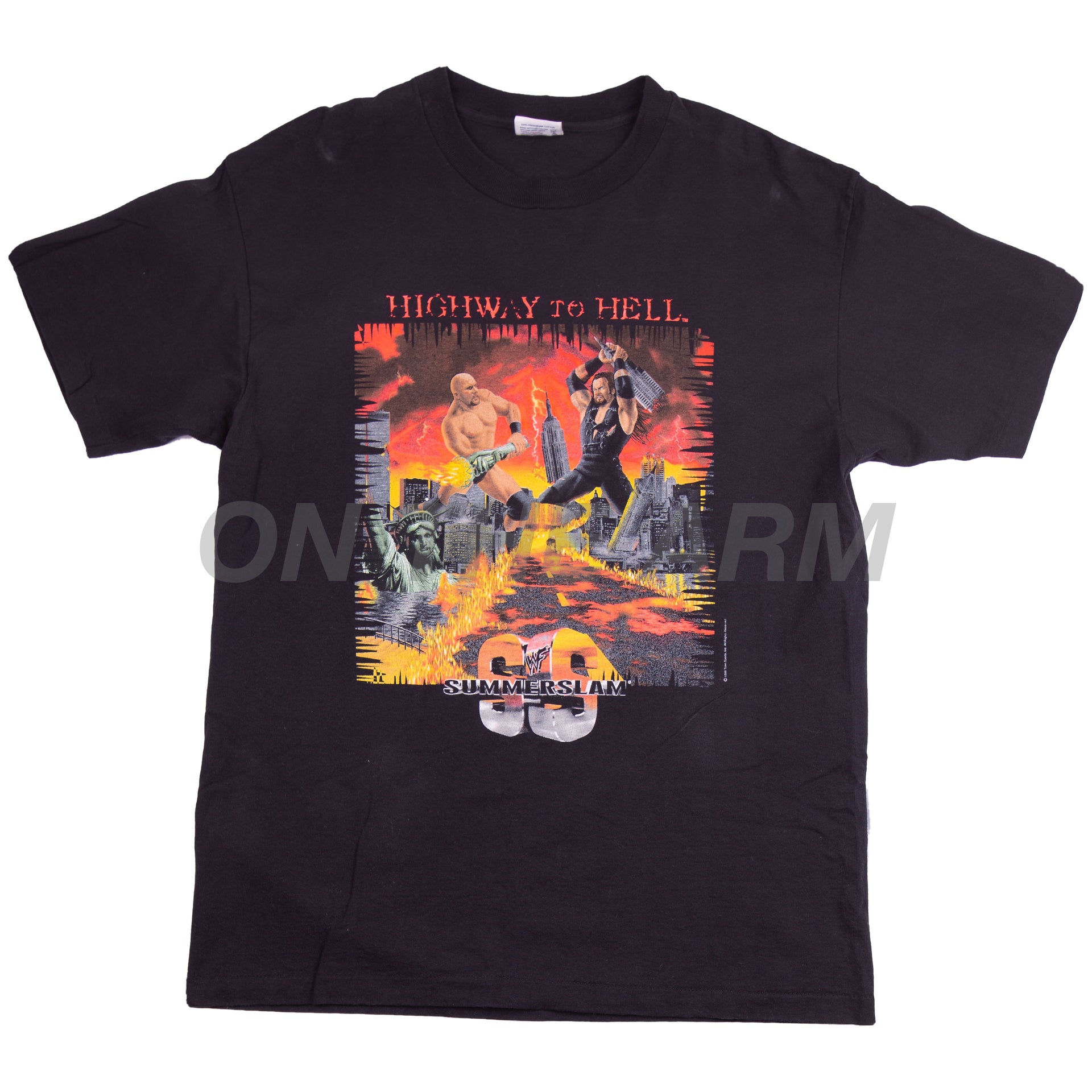 Vintage Black WWE Summer Slam Tee (1998)