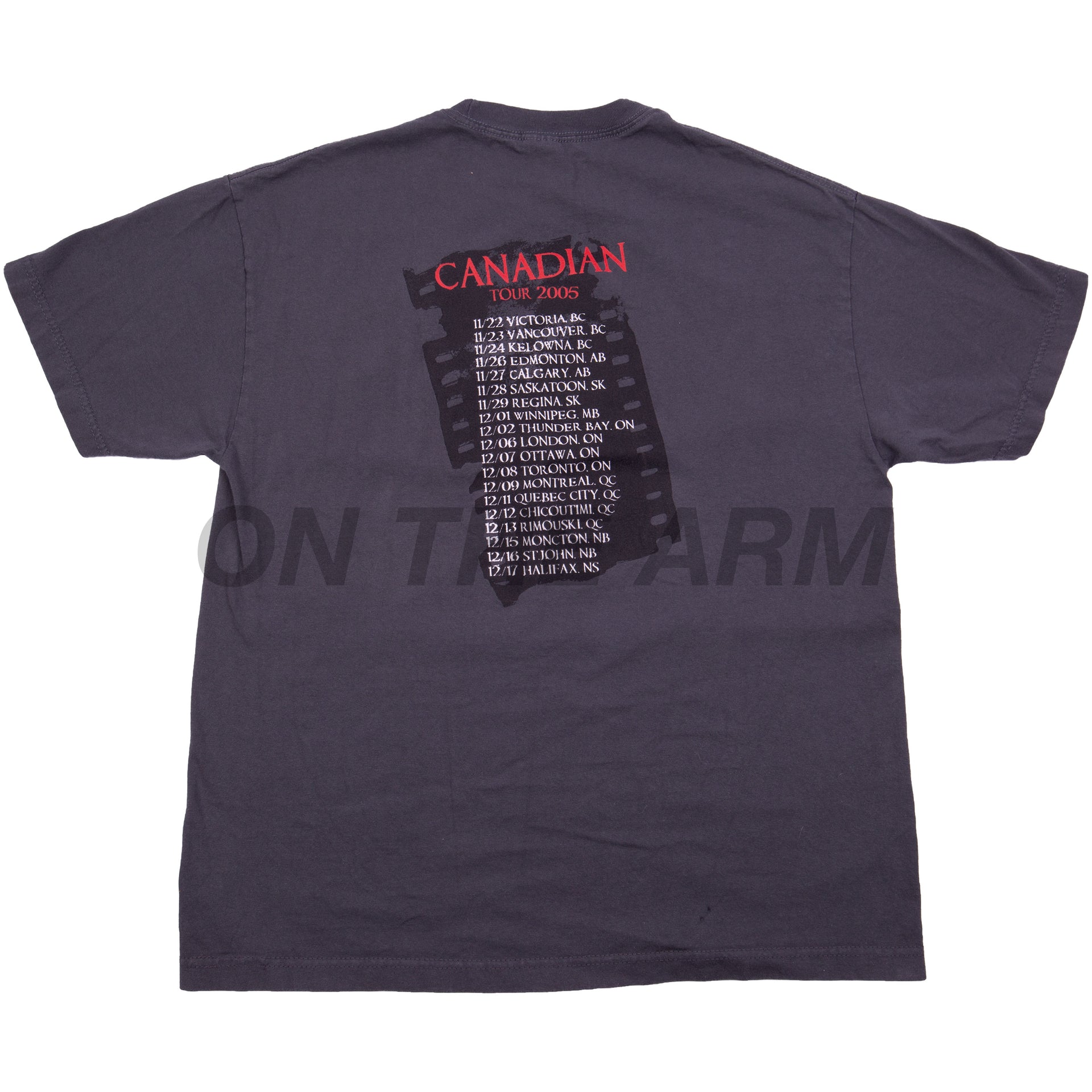 Vintage Grey 2005 Simple Plan Tour Tee