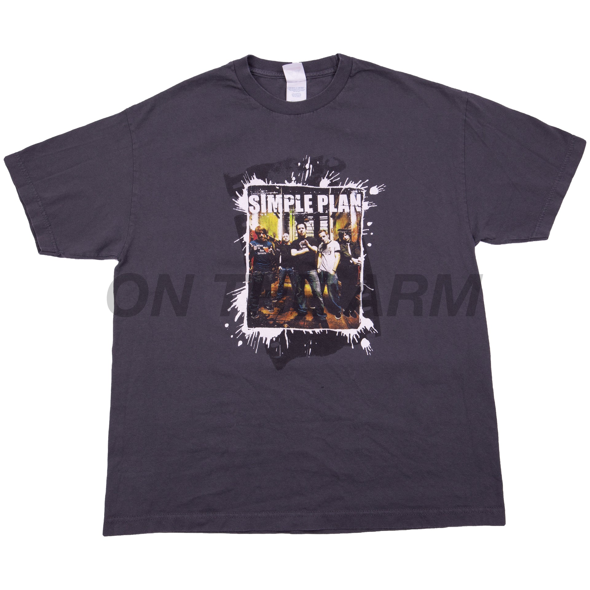 Vintage Grey 2005 Simple Plan Tour Tee