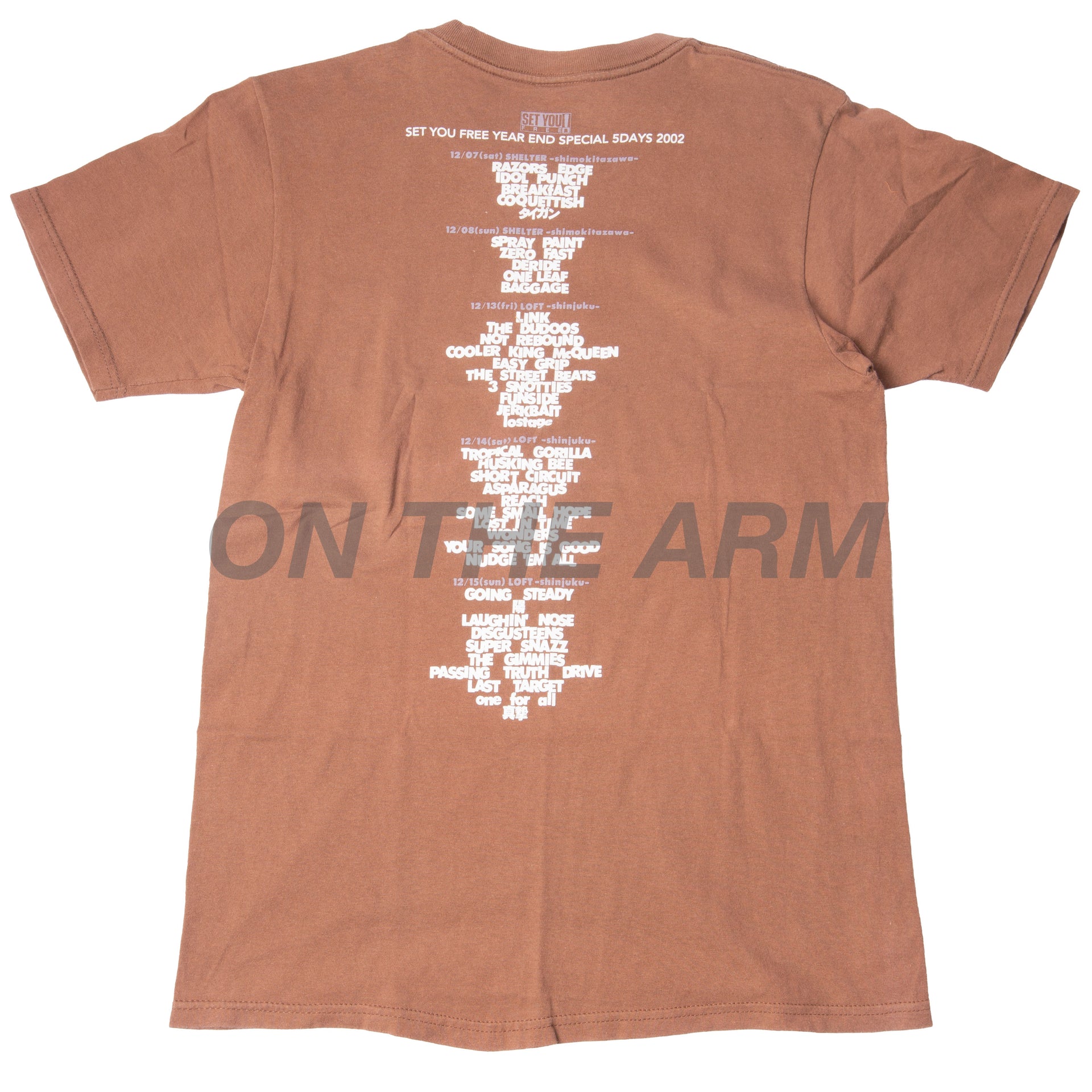 Vintage Brown Set You Free Fest Tee (2002)