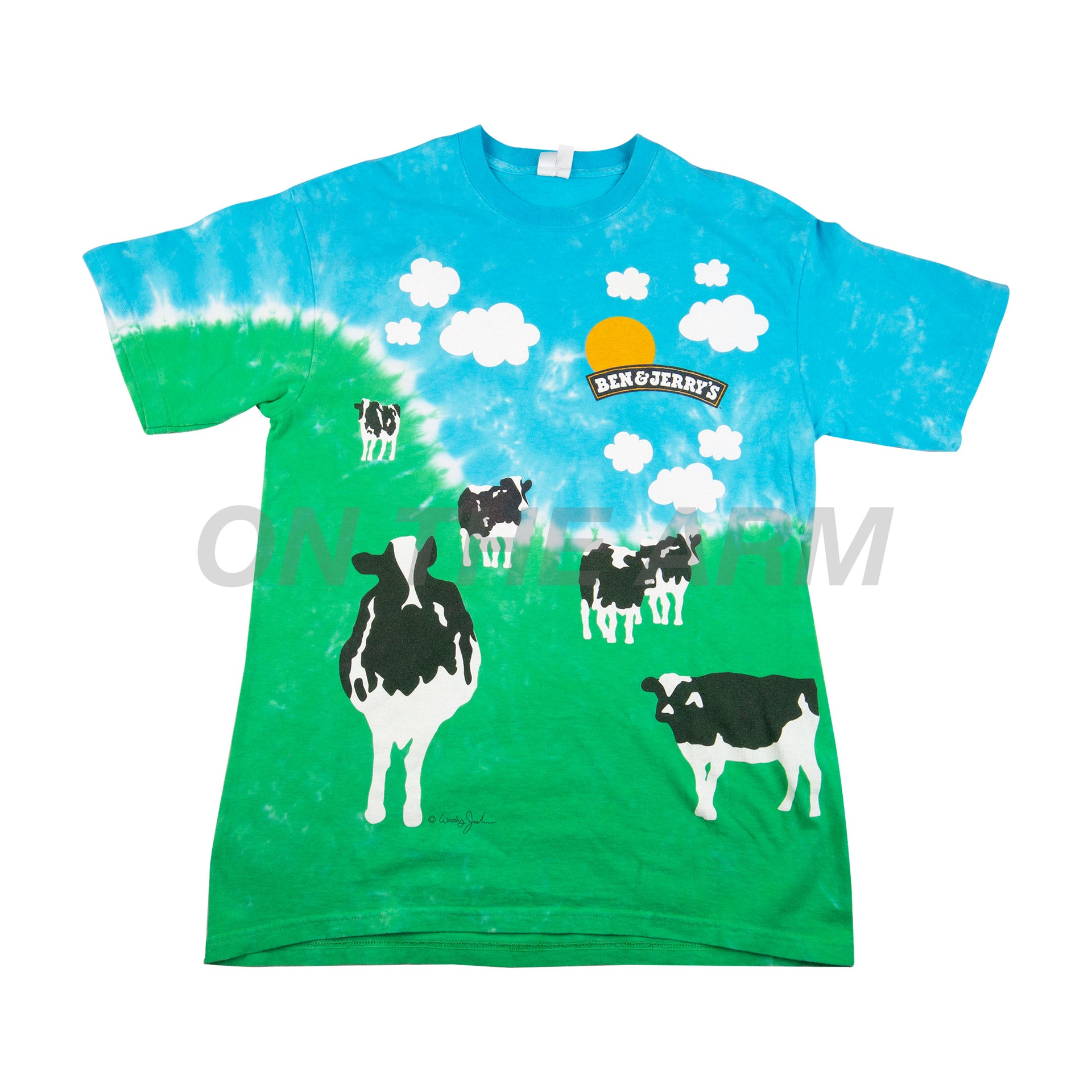 Vintage Tie Dye Ben & Jerrys Tee