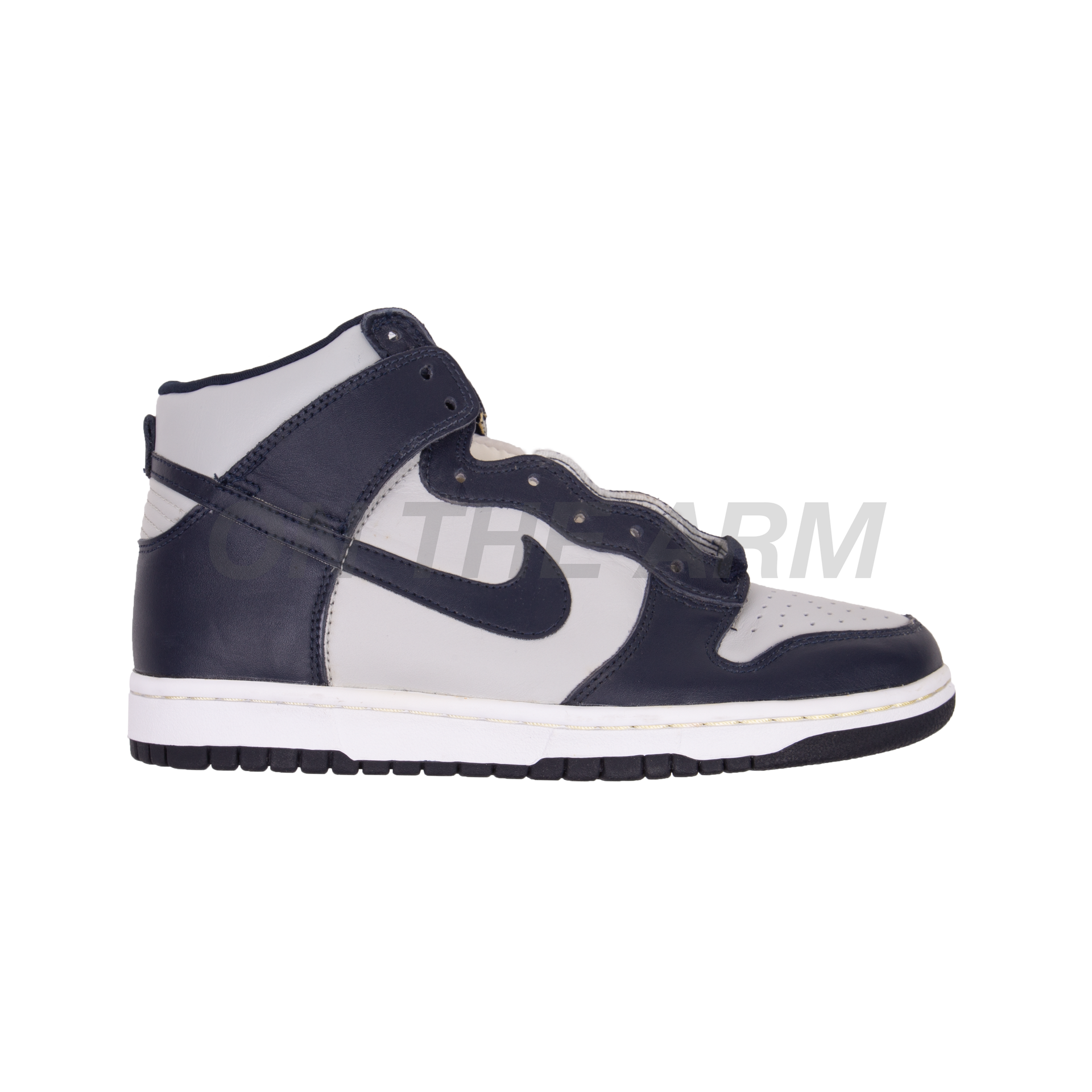 Nike 1999 Georgetown Dunk High LE