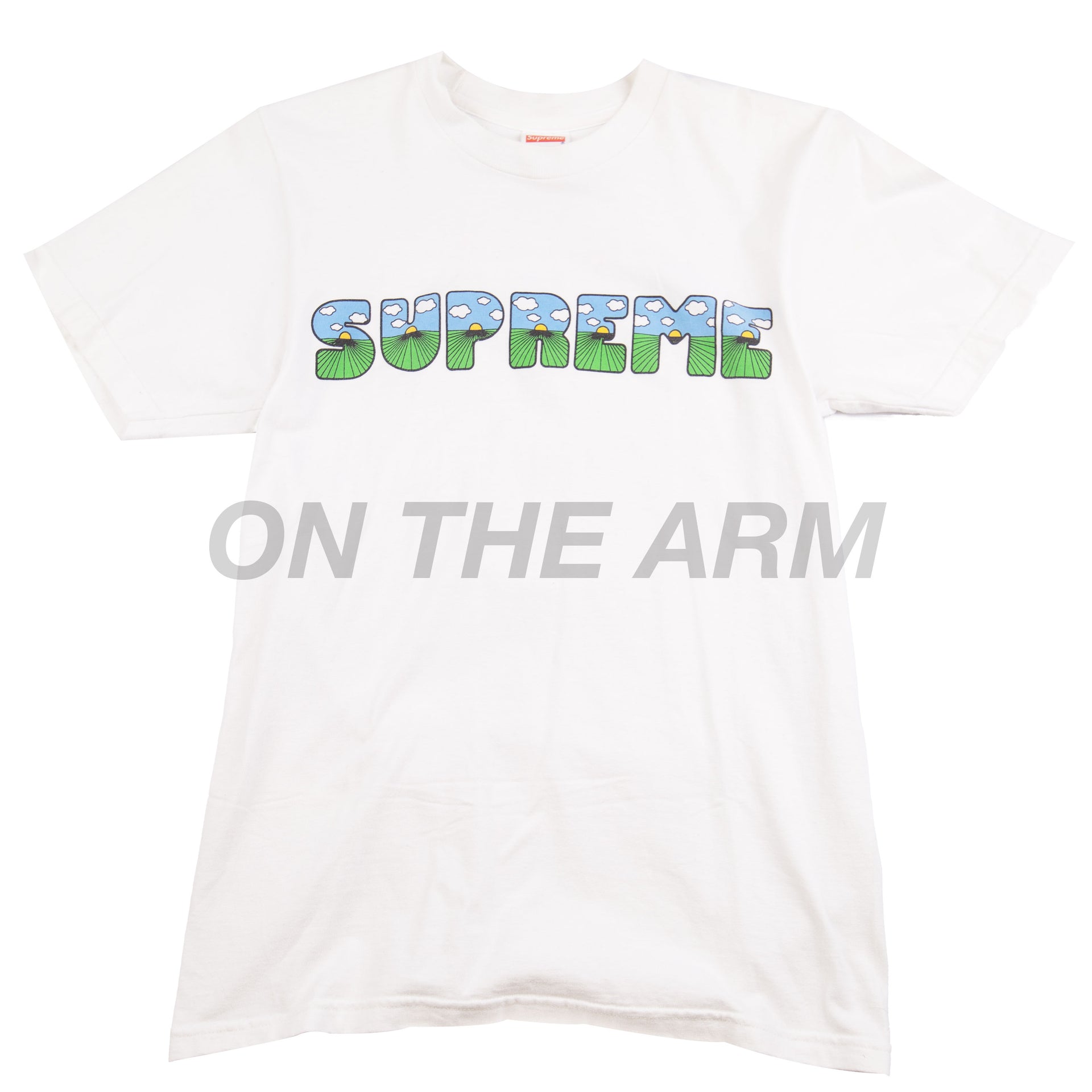 Supreme White The Shit Tee (2016) PRE-OWNED