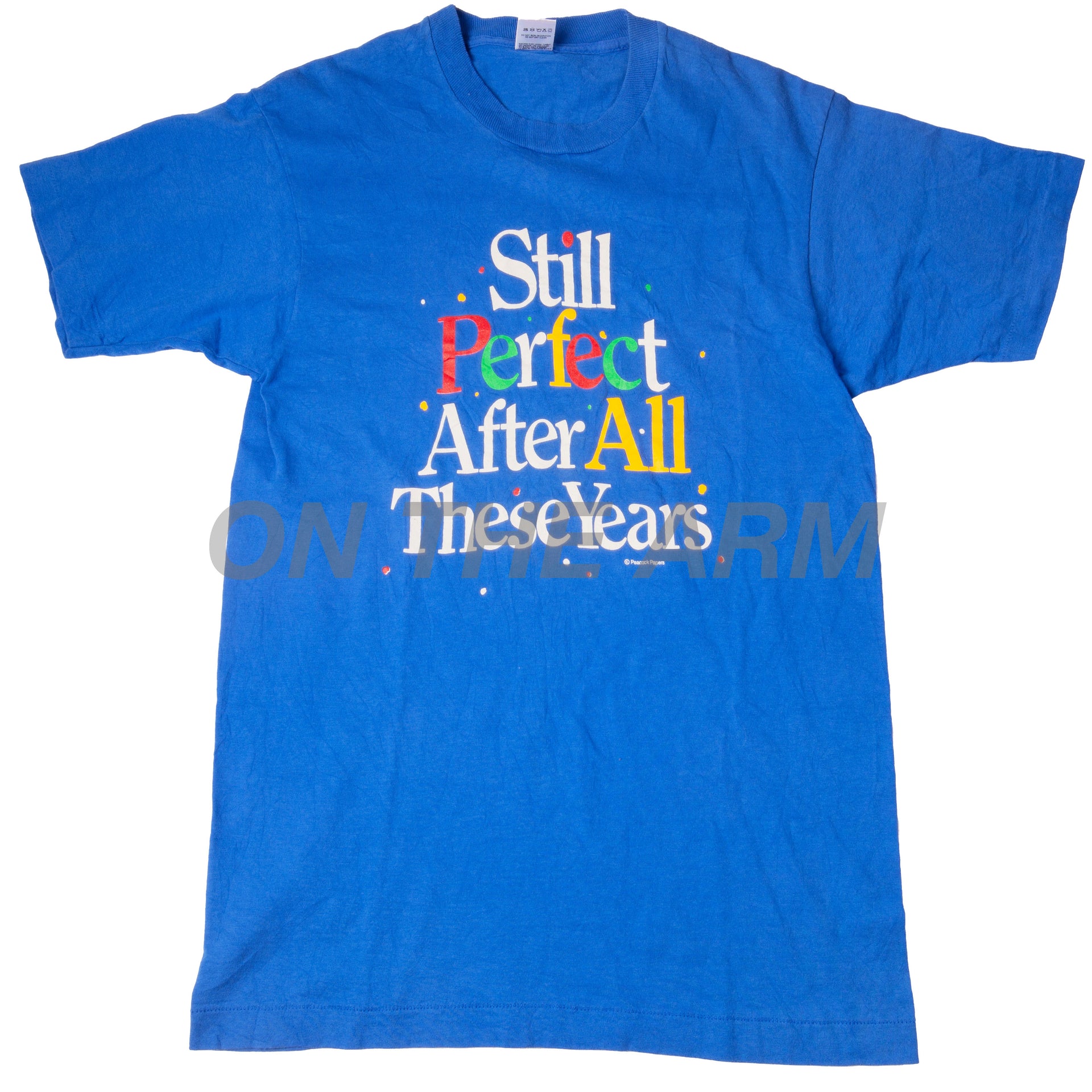 Vintage Blue Still Perfect Tee (1990's)